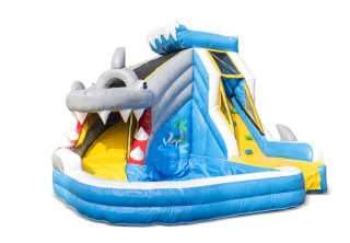 Splashy Haai